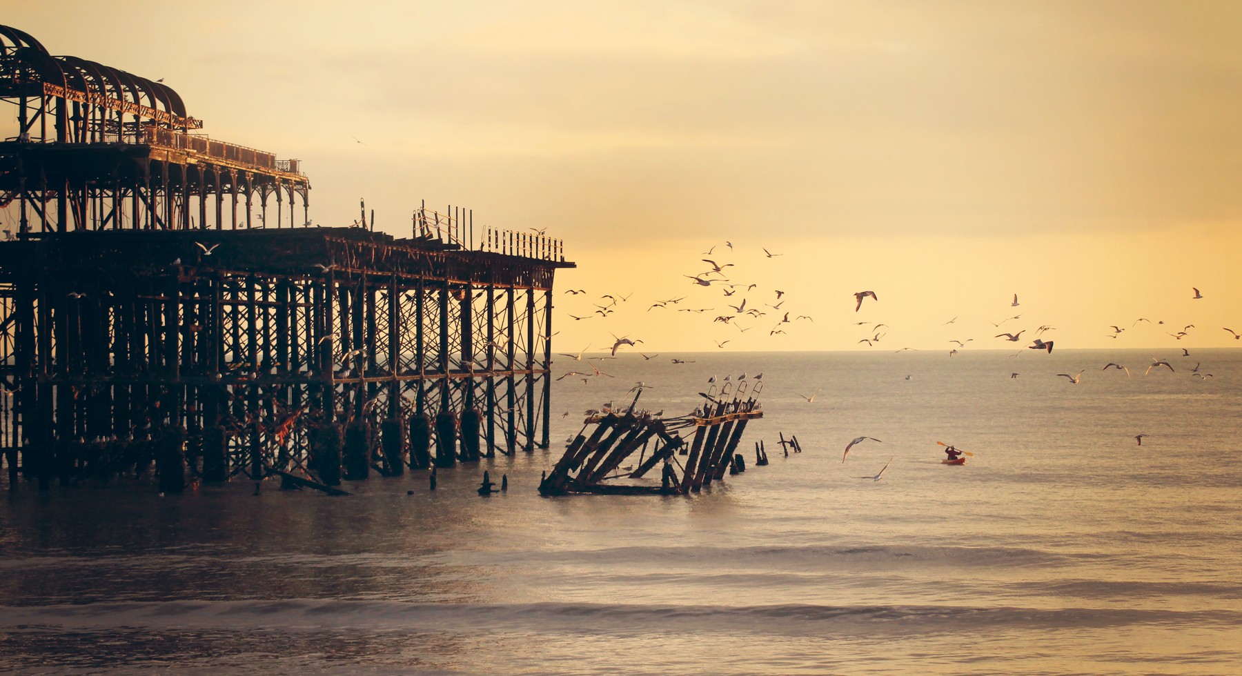 An evening shot with a golden sunset showing a group of seagulls flying around West Pier in Brighton