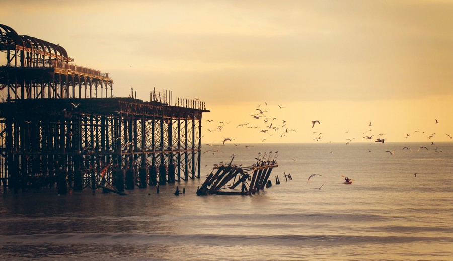 An evening shot with a golden sunset showing a group of seagulls flying around West Pier in Brighton